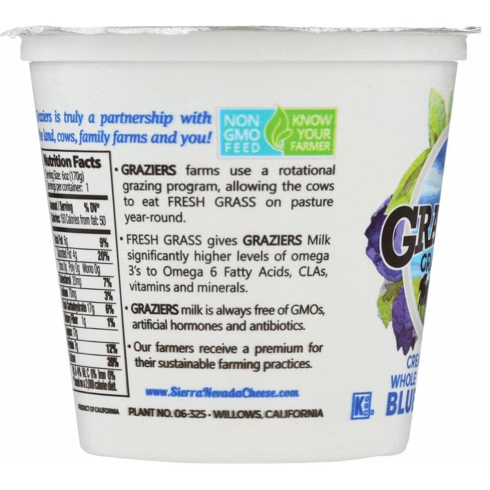 Sierra Nevada Sierra Nevada Blueberry Whole Milk Yogurt, 6 oz