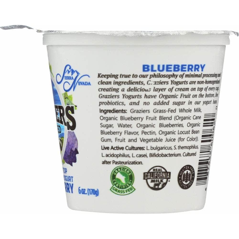 Sierra Nevada Sierra Nevada Blueberry Whole Milk Yogurt, 6 oz