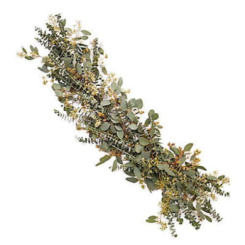 Silver Eucalyptus Garland 10’ - Home/Grocery/Specialty Shops/New To Grocery/ - InBloom