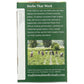 TRADITIONAL MEDICINALS Grocery > Beverages > Coffee, Tea & Hot Cocoa TRADITIONAL MEDICINALS Organic Turmeric With Meadowsweet and Ginger Tea, 16 bg