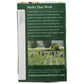 TRADITIONAL MEDICINALS Grocery > Beverages > Coffee, Tea & Hot Cocoa TRADITIONAL MEDICINALS Tea Reishi Mshrm Orng Pl, 16 bg