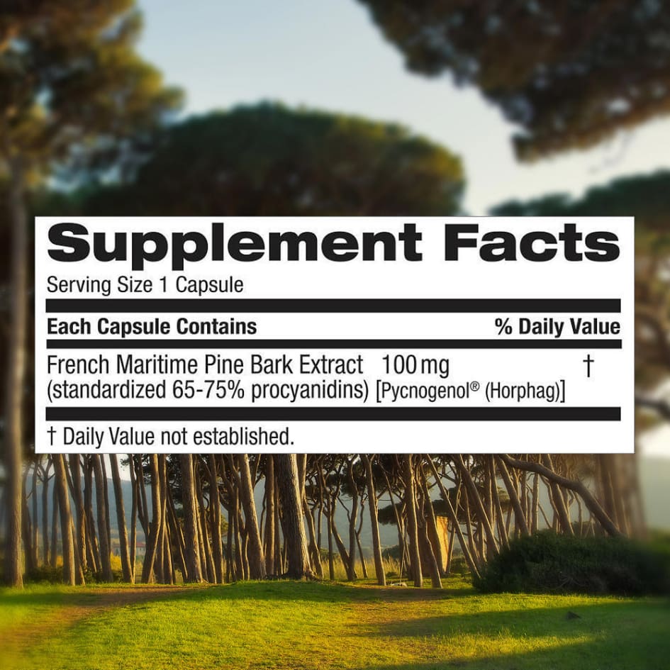 trunature Pycnogenol 100 mg. 60 Vegetarian Capsules - All Vitamins & Supplements - trunature