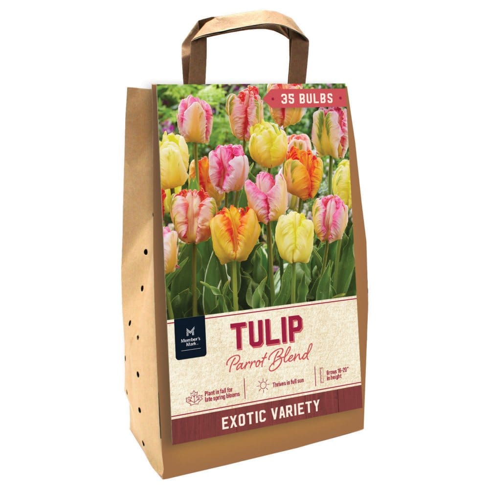Tulip Parrot Mix - Package of 35 Dormant Bulbs - Seeds & Bulbs - Tulip