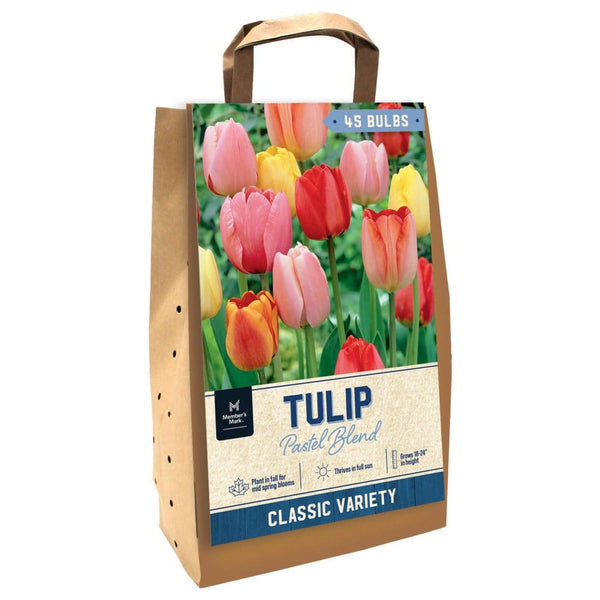 tulip-pastel-mix-package-of-45