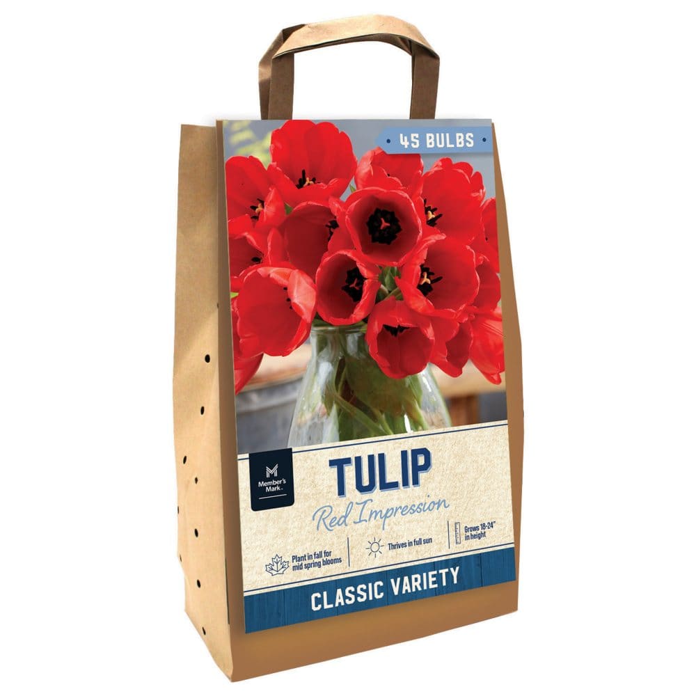 Tulip Red Impression - Package of 45 Dormant Bulbs - Seeds & Bulbs - Tulip
