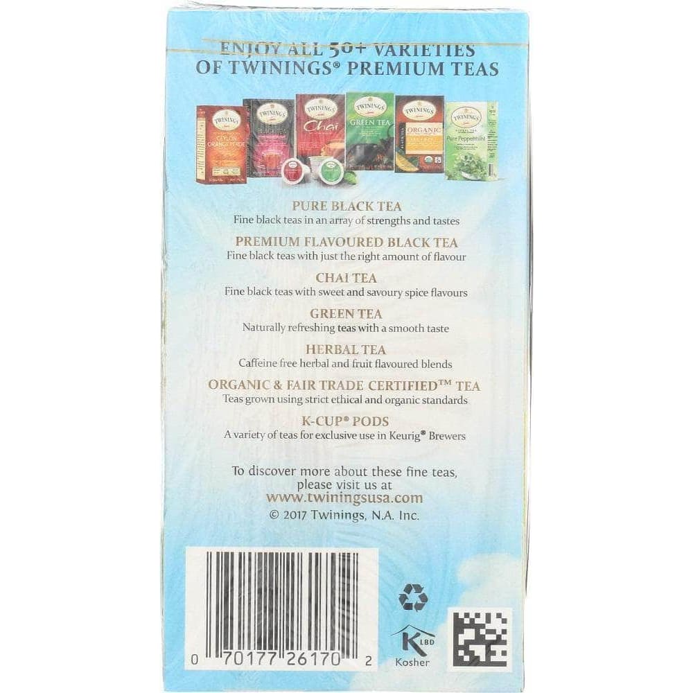 TWINING TEA Twining Tea Tea Cold Brw Grn Mint, 20 Bg