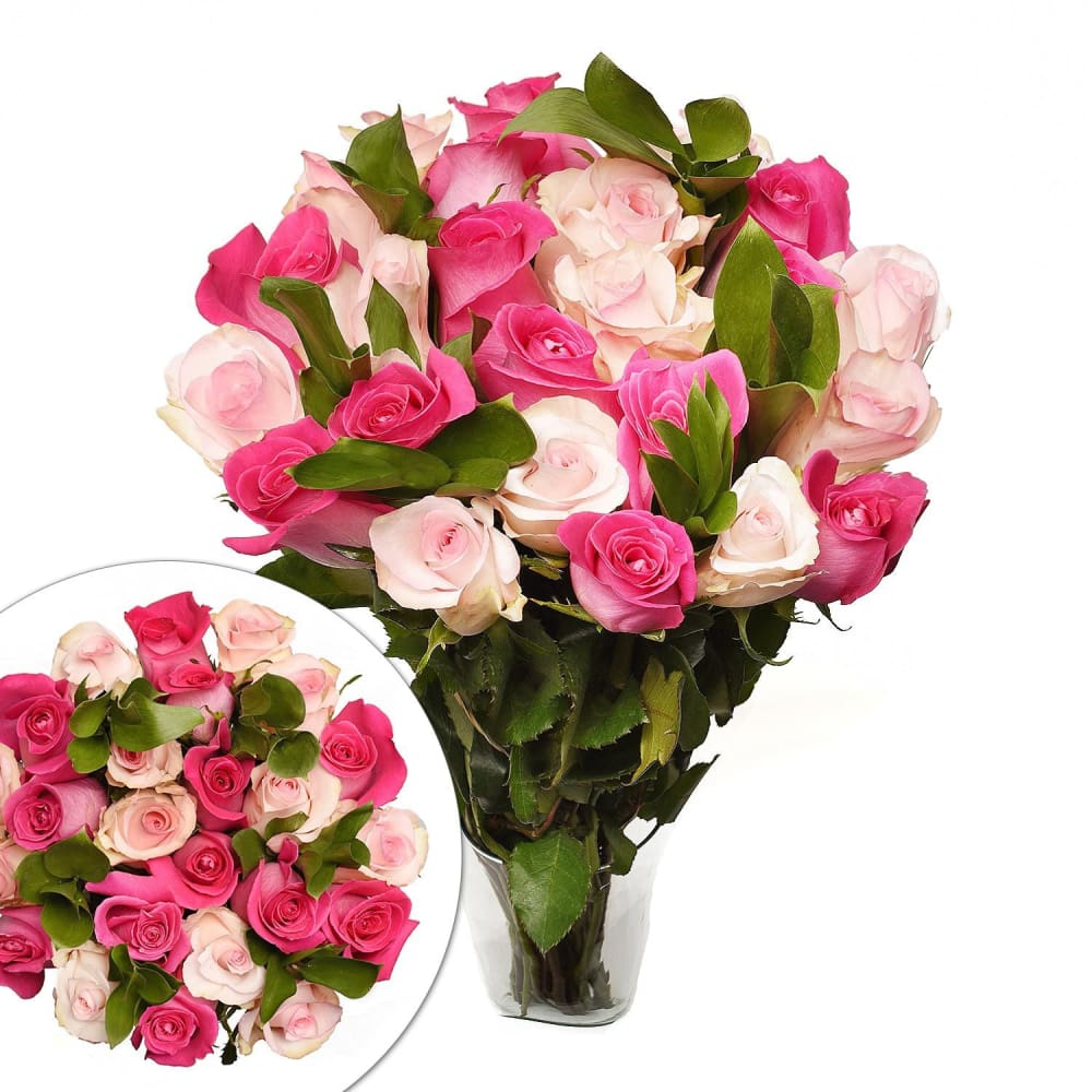 Two Dozen Pink Lady (Dark/Light) Roses Bouquet - InBloom