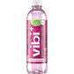 VIBIPLUS Vibiplus Blueberry Pomegranate, 16.9 Fo