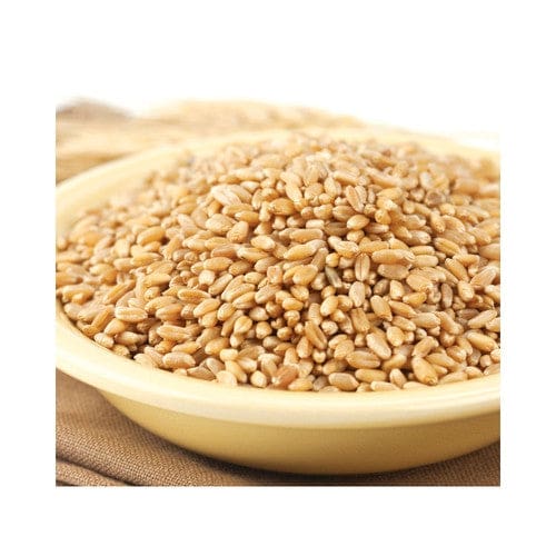 Wheat Montana Prairie Gold (86) Kernels 25lb - Baking/Flour & Grains - Wheat Montana