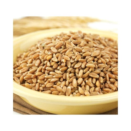 Wheat Montana Spelt Berries 50lb - Baking/Flour & Grains - Wheat Montana