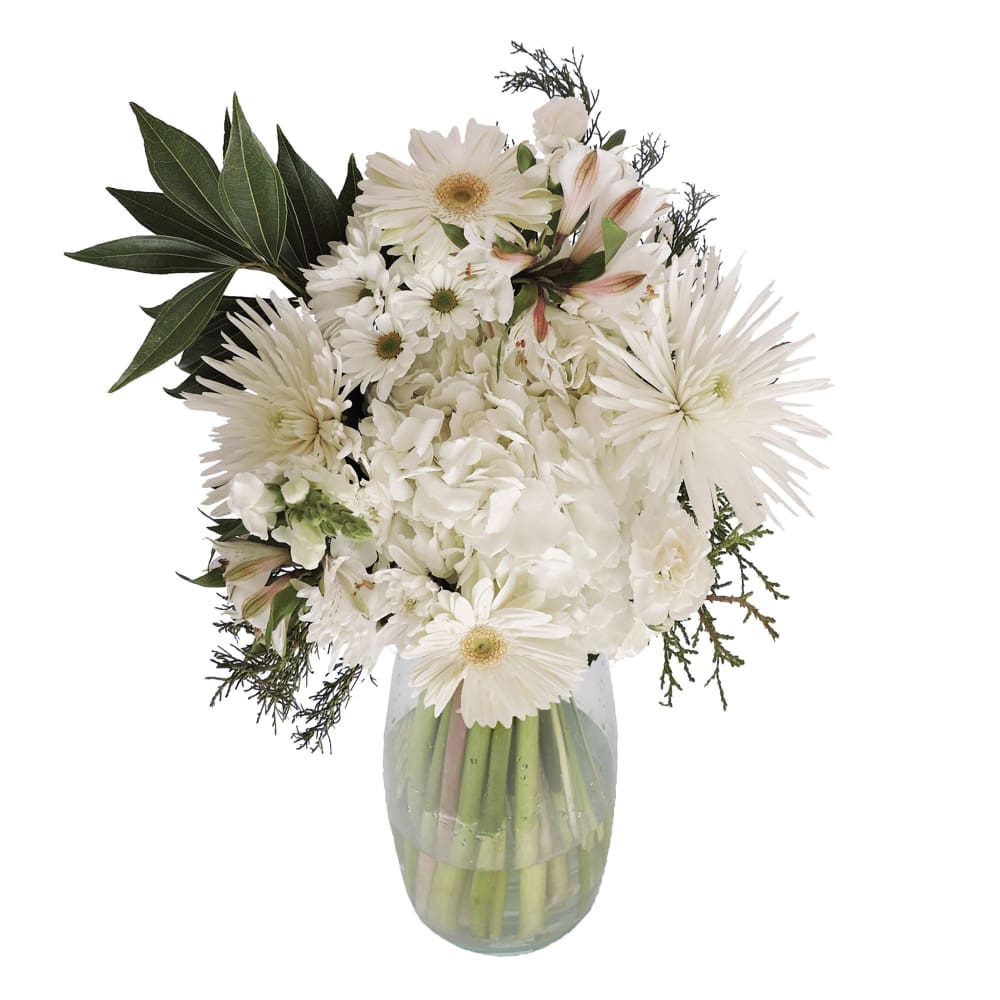 White Divinity Bouquet - Home/Home/Flowers & Plants/Bouquets/ - ShelHealth