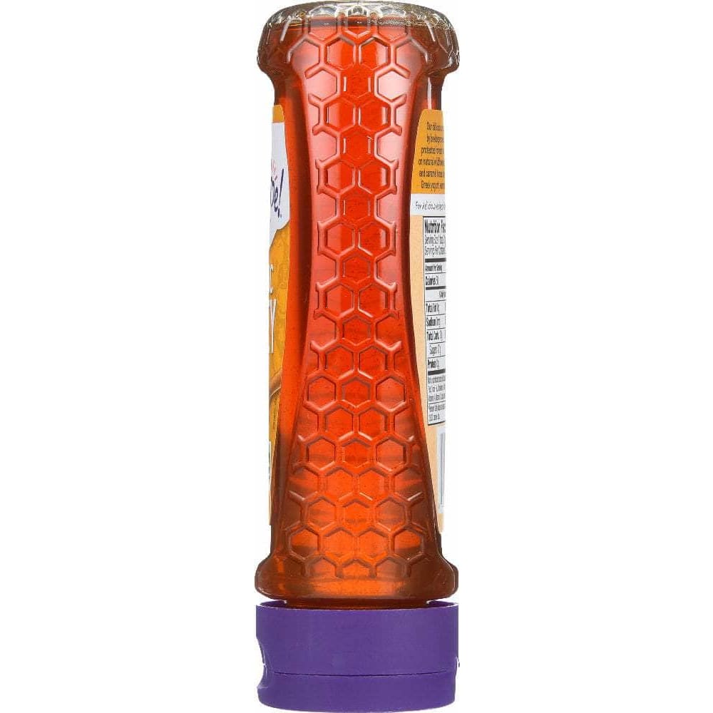 Wholesome Wholesome Sweeteners Organic Honey, 16 oz