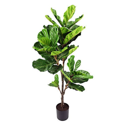 Winward 56 Fiddle Leaf Plant Tree Decorative Artificial Plant - Home/Home/Home Decor/Decorative Items/ - Winward