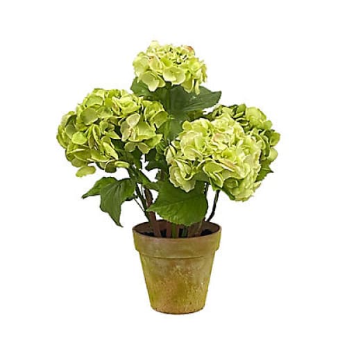 Winward Potted Hydrangea Decorative Artificial Plant - Light Green - Home/Home/Home Decor/Decorative Items/ - Winward