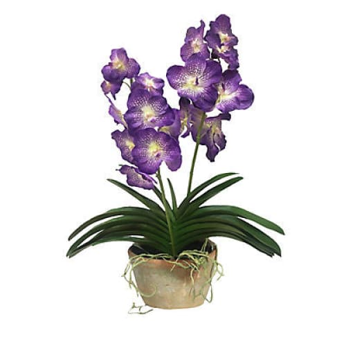 Winward Potted Vanda Orchid Decorative Artificial Plant - Purple - Home/Home/Home Decor/Decorative Items/ - Winward