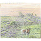 Yorkshire Yorkshire Tea Yorkshire Gold, 40 bg