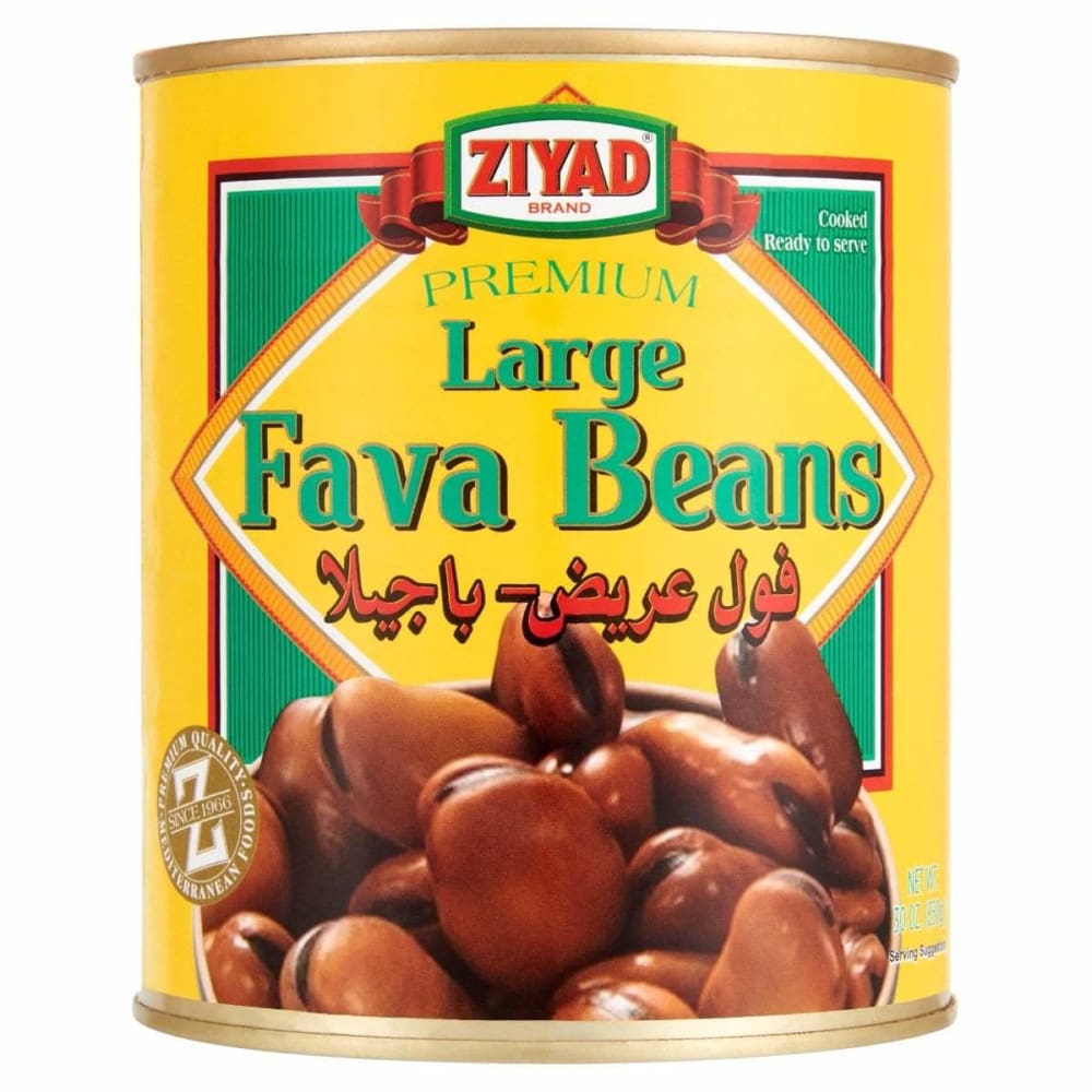 ZIYAD Ziyad Bean Fava Lrg, 15 Oz