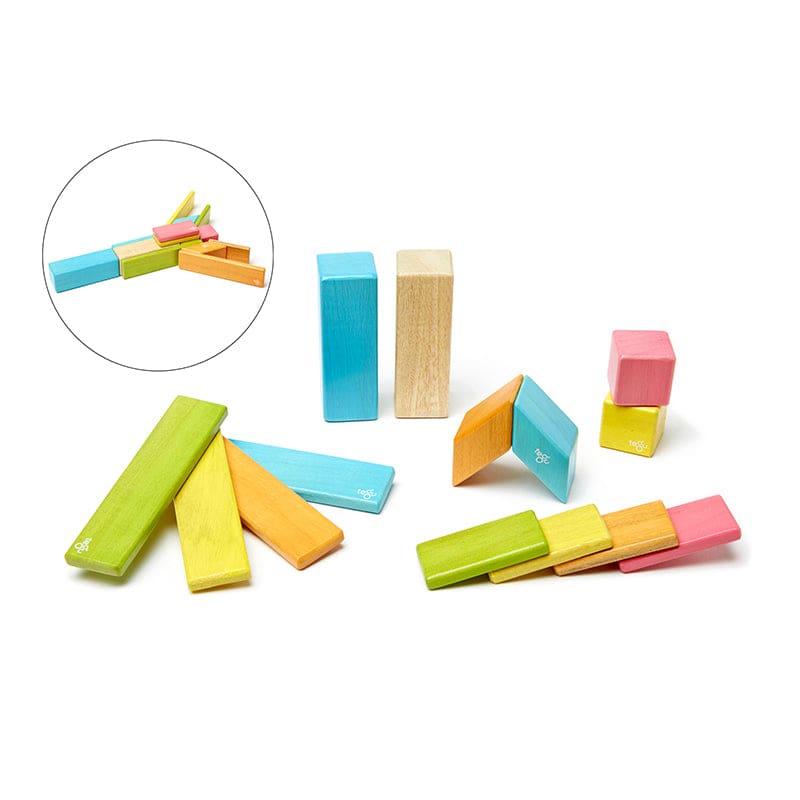 14 Piece Tints Set - Blocks & Construction Play - Tegu