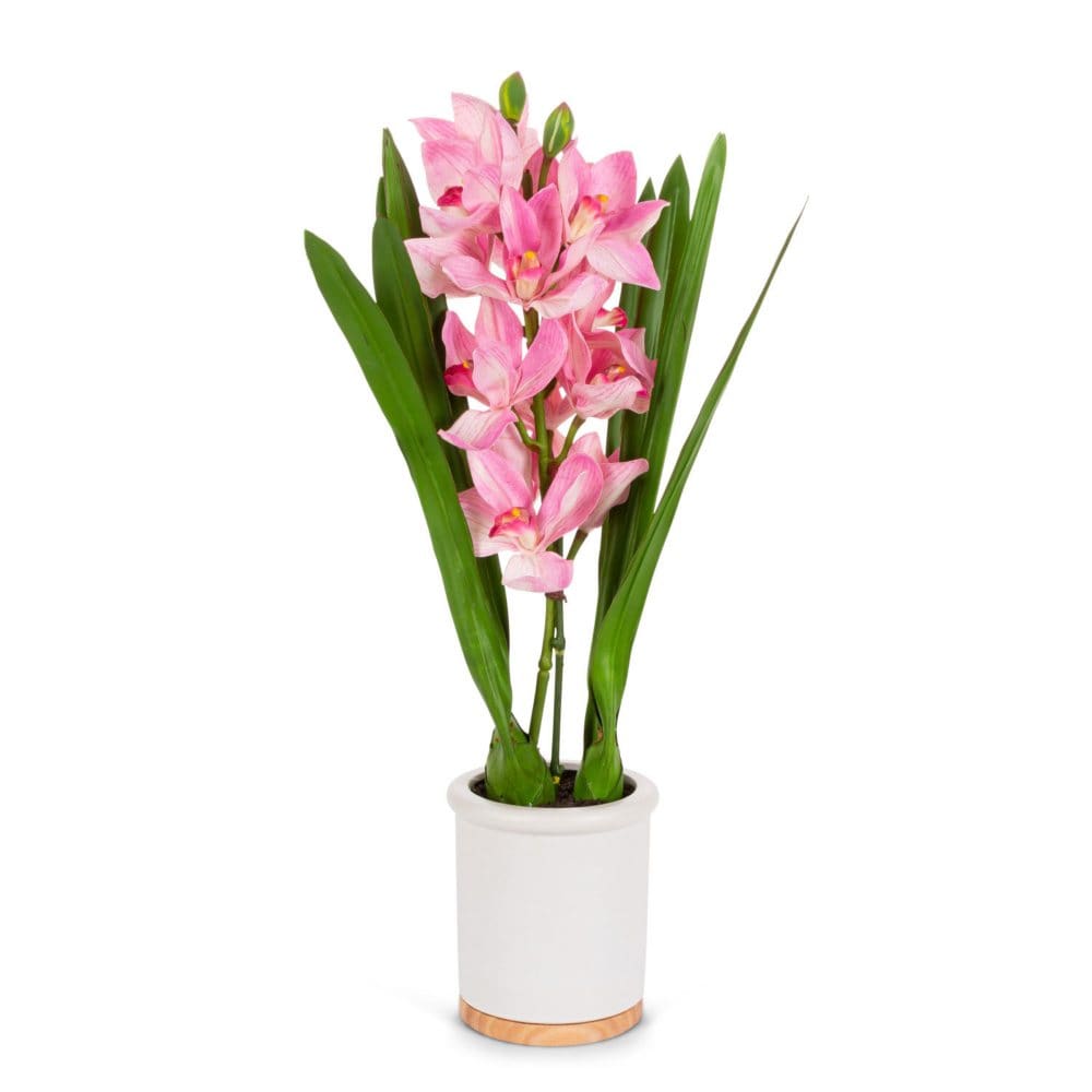 26 Real Touch Ultra-Realistic Pink Cymbidium Orchid Arrangement in Ceramic and Wood Pot - Faux Plants - Real Touch
