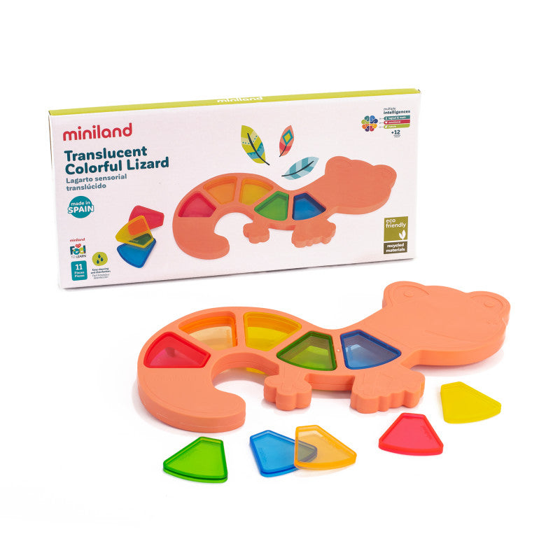 Translucent Colorful Lizard Feel To Learn