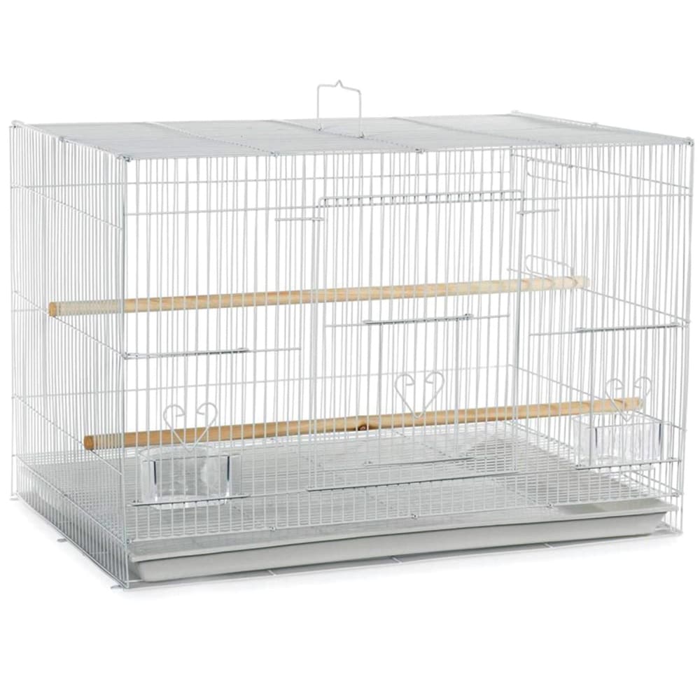 A and E Cages Flight Cage Ivory 30in X 18in 4pk - Pet Supplies - A and E