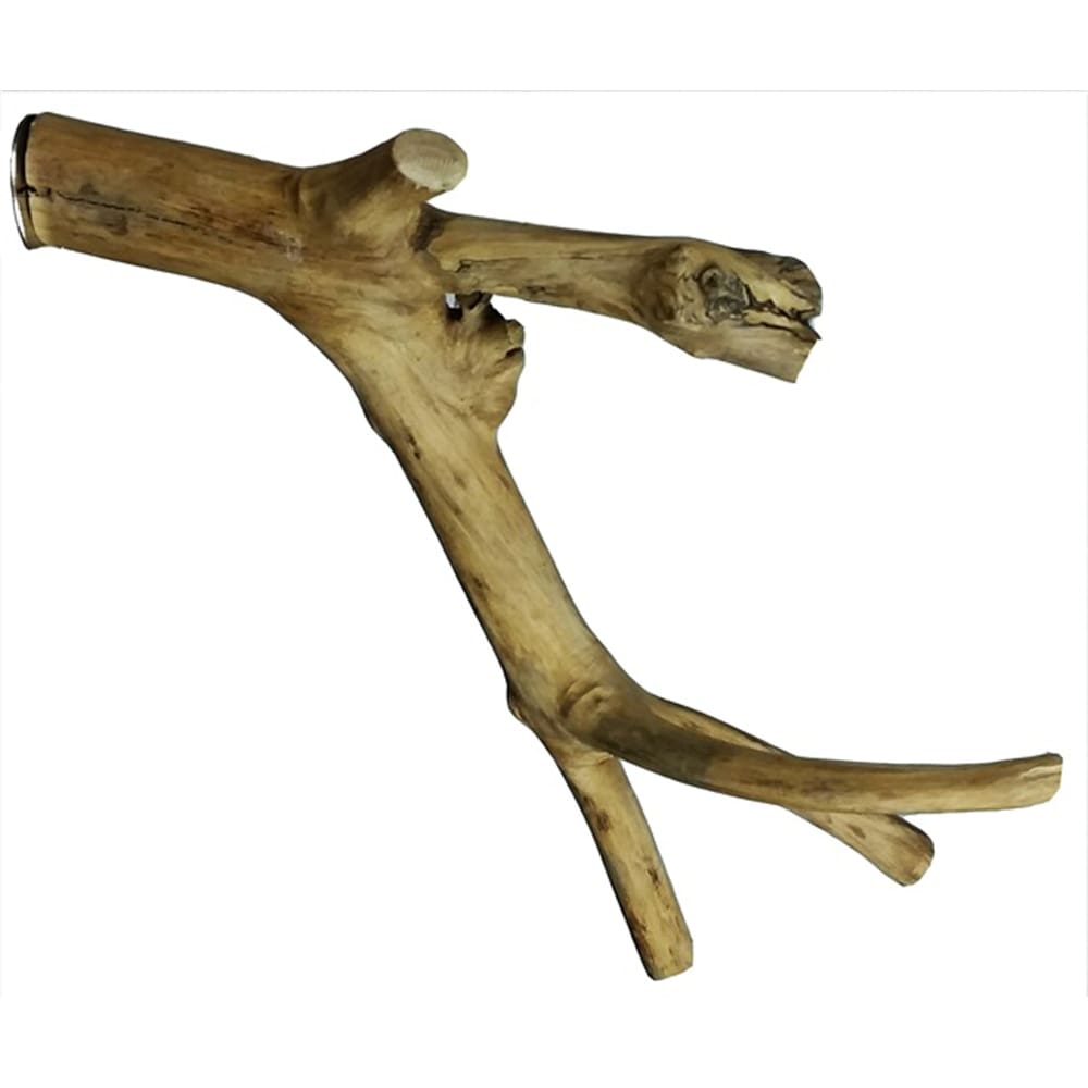 A and E Cages Java Wood Multi Branch Bird Perch X S - Pet Supplies - A and E