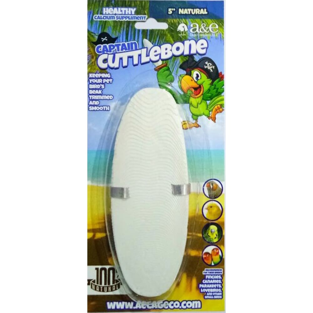 A and E Cages Natural Cuttlebone 5in - Pet Supplies - A and E