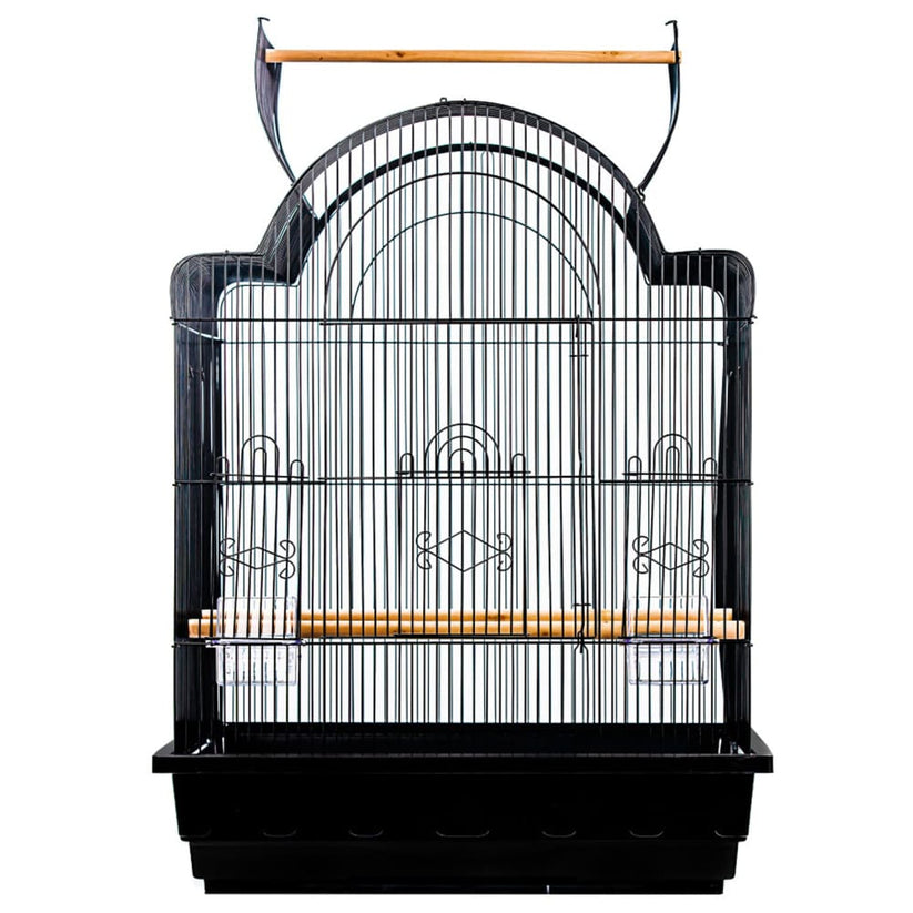 A and E Cages Victorian Open Top Bird Cage in Retail Box Assortment ... - Bird Enlargement Cage Retailers