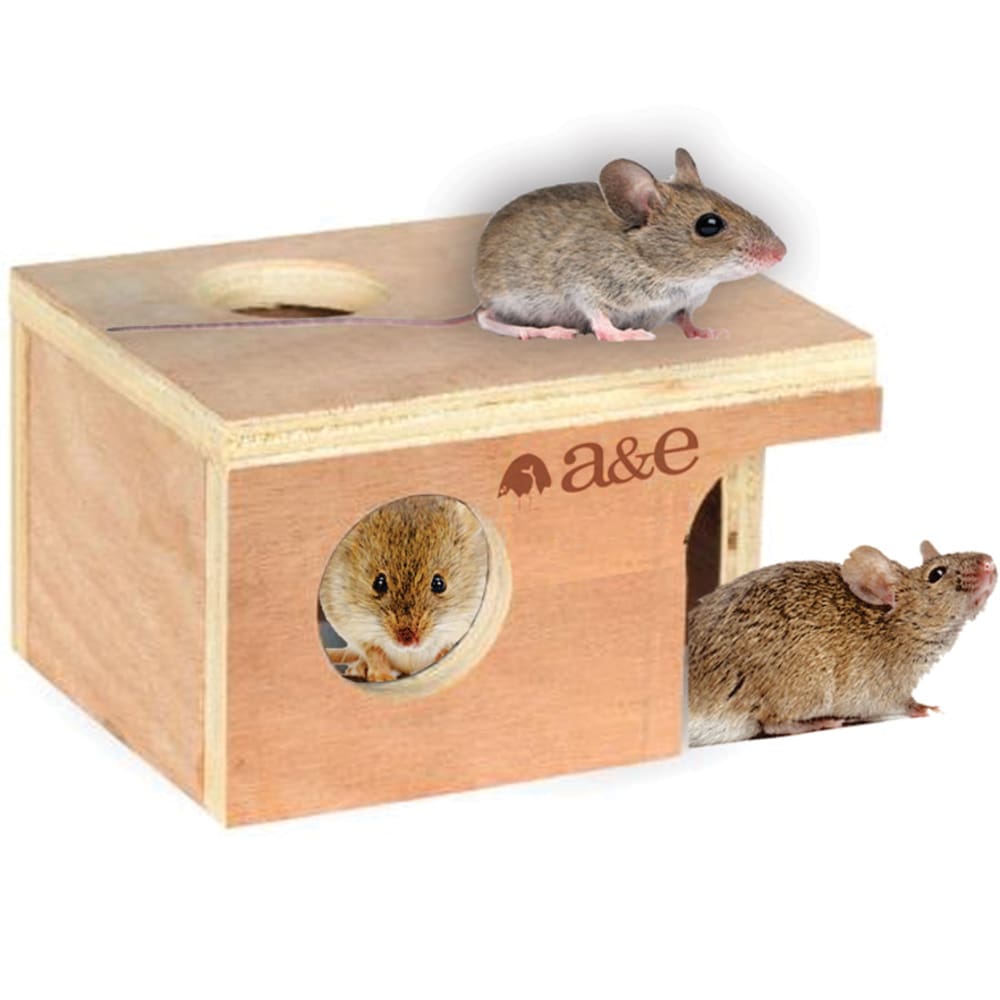 A &E Cages Small Animal Hut Mouse; Wood; 1ea-5 1-4 in X 3 7-8 in X 3 in - Pet Supplies - A and E