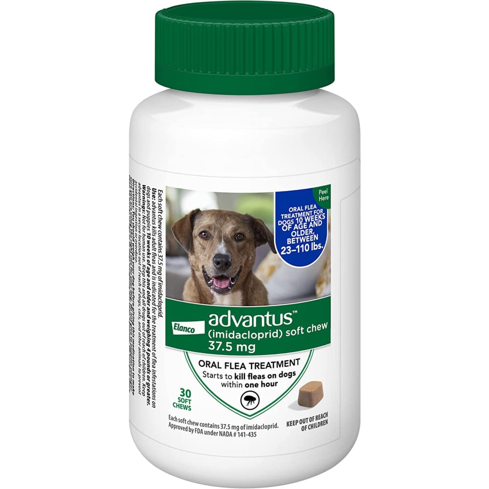 Advantus Dog Large 37.5mg Soft Chew 30ct. - Pet Supplies - Advantus