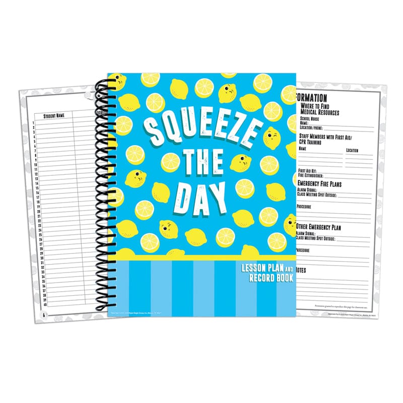 Always Try Your Zest Lesson Plan & Record Book (Pack of 3) - Plan & Record Books - Eureka