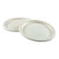 AmerCareRoyal Bagasse Pfas-free Dinnerware Plate 10.27 Dia White 500/carton - Food Service - AmerCareRoyal®