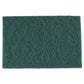 AmerCareRoyal Medium-duty Scouring Pad 6 X 9 Green 10 Pads/pack 6 Packs/carton - Janitorial & Sanitation - AmerCareRoyal®