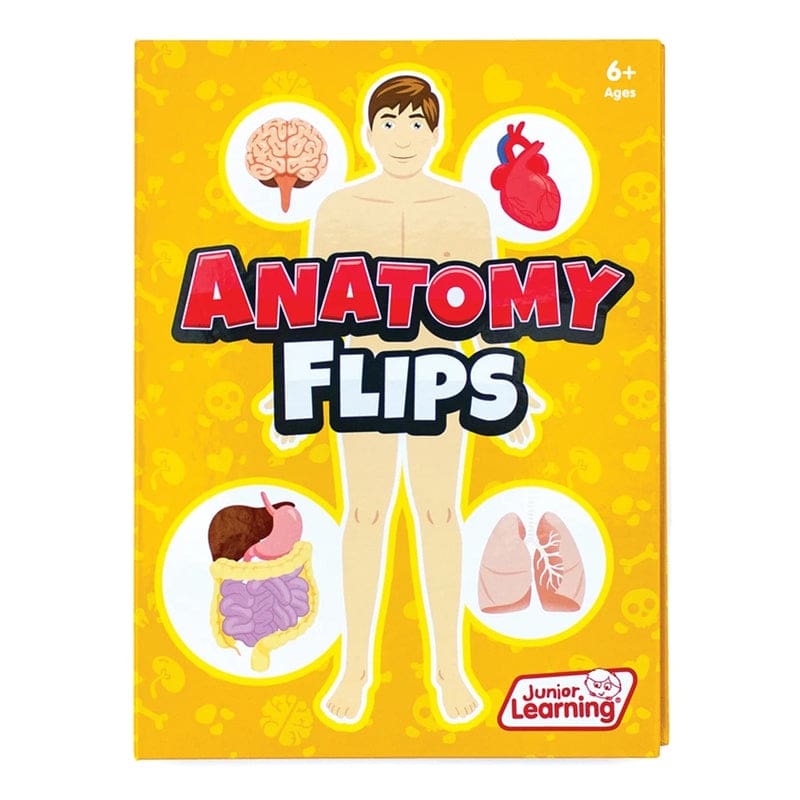 Anatomy Flips (Pack of 6) - Human Anatomy - Junior Learning