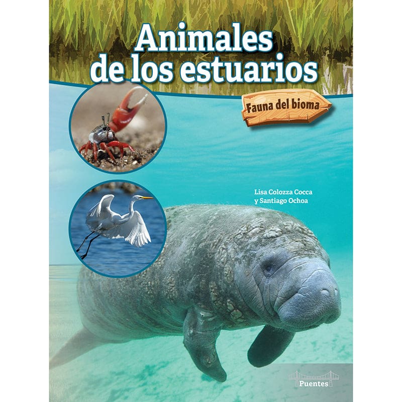 Animales De Los Estuarios Hardcover Spanish Book - Books - Carson Dellosa Education