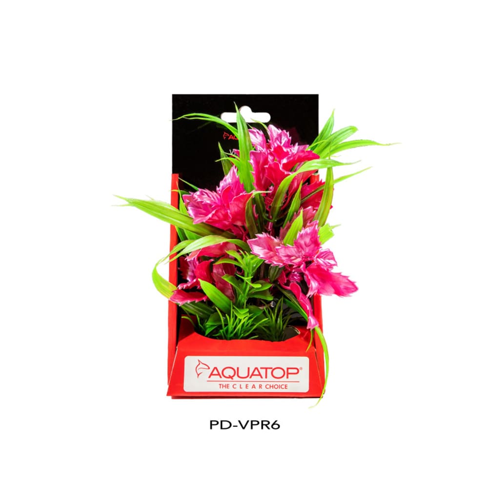 Aquatop Vibrant Passion Plant Rose; 1ea-6 in - Pet Supplies - Aquatop