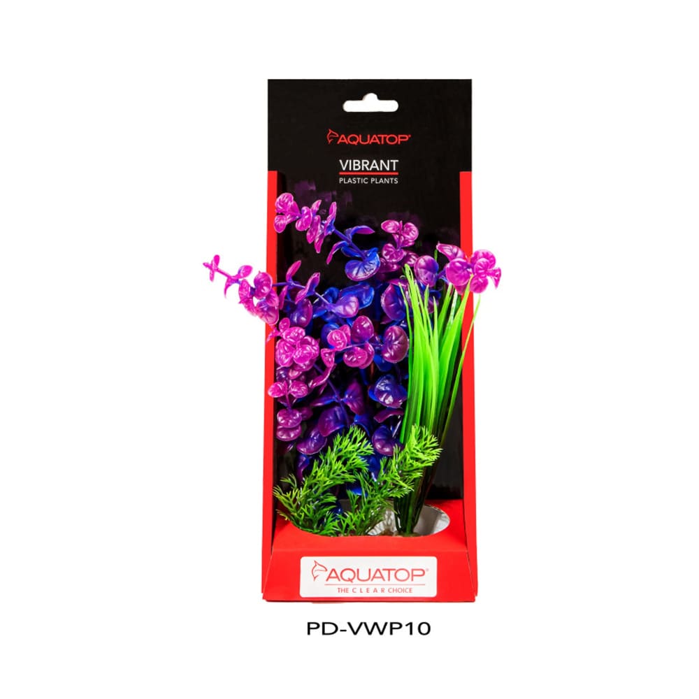 Aquatop Vibrant Wild Plant Purpleberry; 1ea-10 in - Pet Supplies - Aquatop