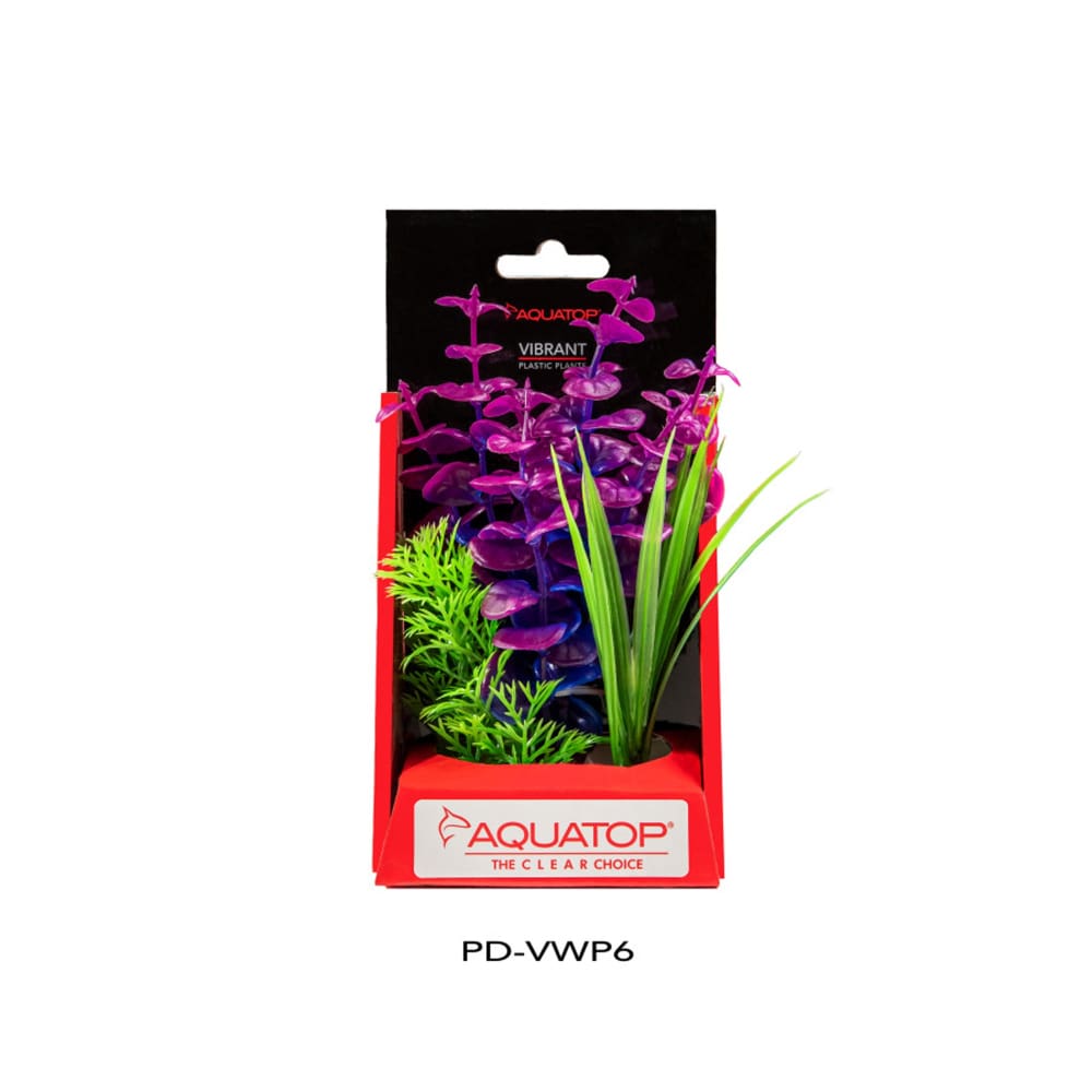 Aquatop Vibrant Wild Plant Purpleberry; 1ea-6 in - Pet Supplies - Aquatop