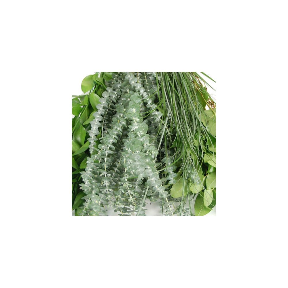 Assorted Greenery (8 bunches) - Fillers & Greenery - Assorted