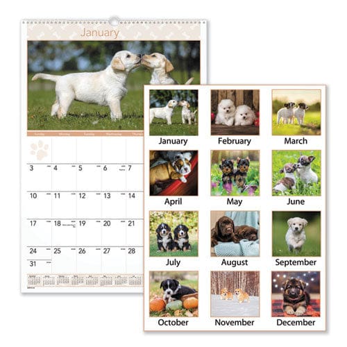 AT-A-GLANCE Puppies Monthly Wall Calendar Puppies Photography 15.5 X 22.75 White/multicolor Sheets 12-month (jan To Dec): 2023 - School