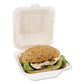 Bagasse Pfas-free Food Containers 1-compartment 6 X 6 X 3.19 White Bamboo/sugarcane 500/carton - Food Service - Boardwalk®