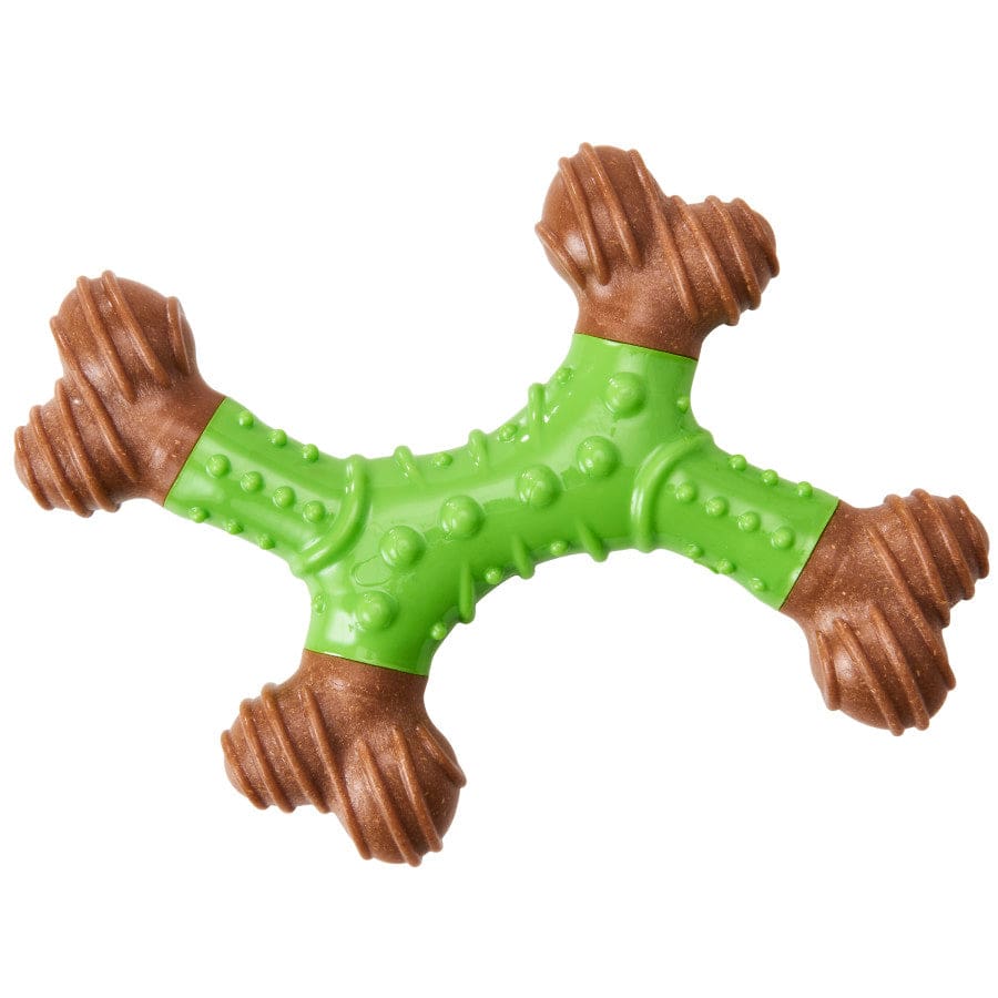 Bam-Bone Dental X-Bone Dog Toy Green-Brown 6in - Pet Supplies - Bam-Bone