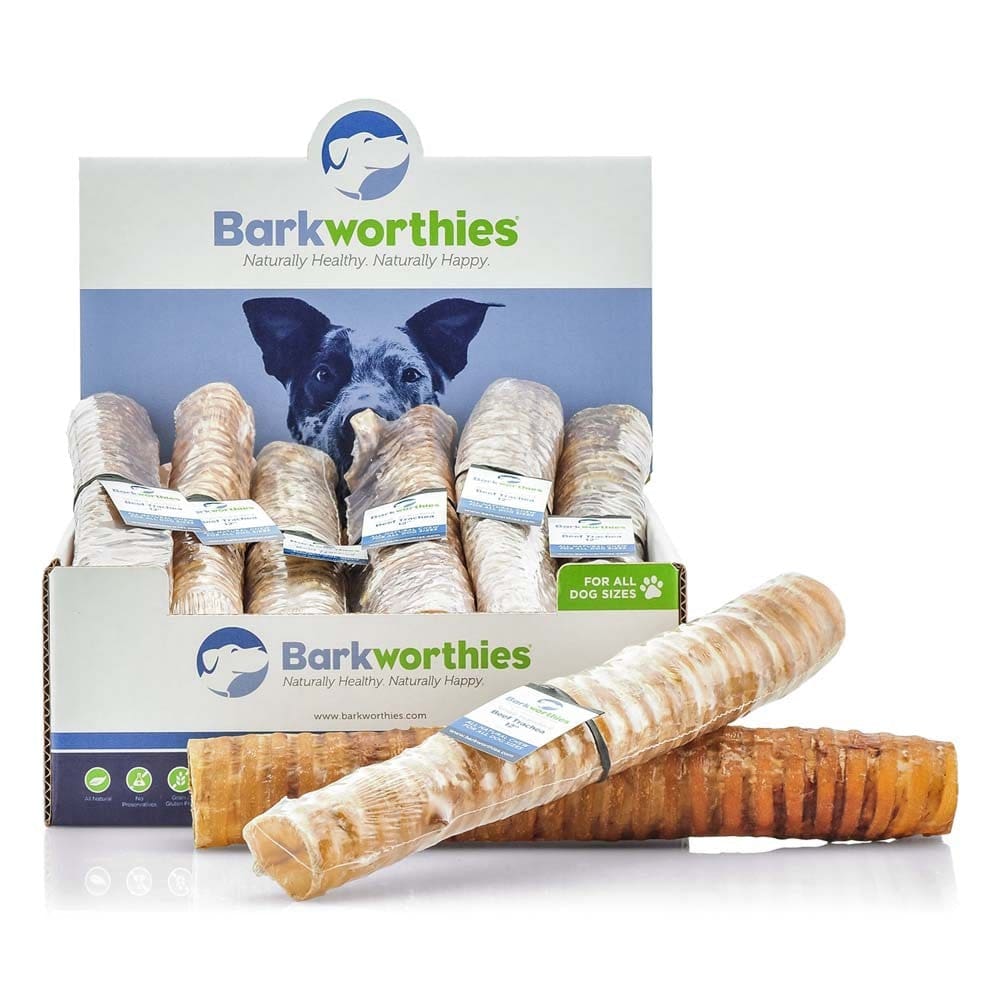 Barkworthies Trachea Beef 12 Inch - Pet Supplies - Barkworthies