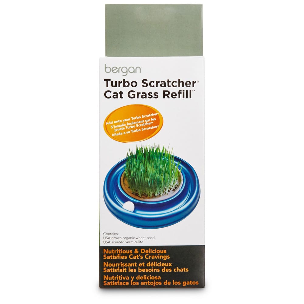 Bergan Turbo Cat Grass Refill 1 Pack - Pet Supplies - Bergan