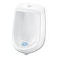 Big D Industries Extra Duty Urinal Screen With Non-para Block Evergreen With Enzymes Scent White Dozen - Janitorial & Sanitation - Big D