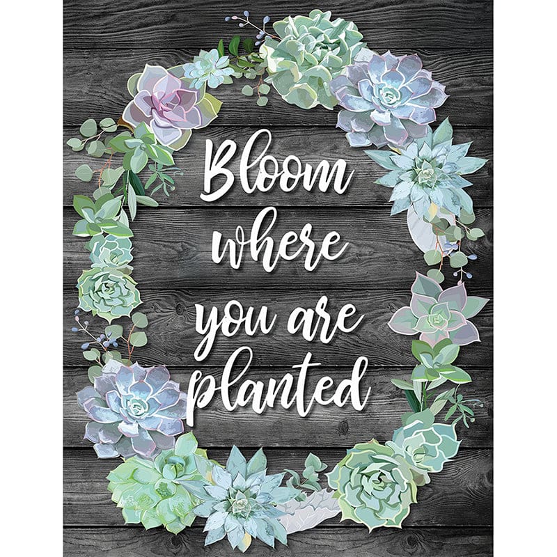 Bloom Where You Are Planted Chart Simply Stylish (Pack of 12) - Motivational - Carson Dellosa Education