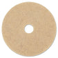 Boardwalk Natural Hog Hair Burnishing Floor Pads 17 Diameter Tan 5/carton - Janitorial & Sanitation - Boardwalk®