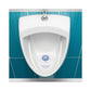 Boardwalk Urinal Screen With Non-para Cleaner Block Green Apple Scent 3.25 Oz Blue/white 12/box - Janitorial & Sanitation - Boardwalk®