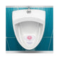 Boardwalk Urinal Screen With Para Deodorizer Block Cherry Scent 3 Oz Red/white 12/box - Janitorial & Sanitation - Boardwalk®