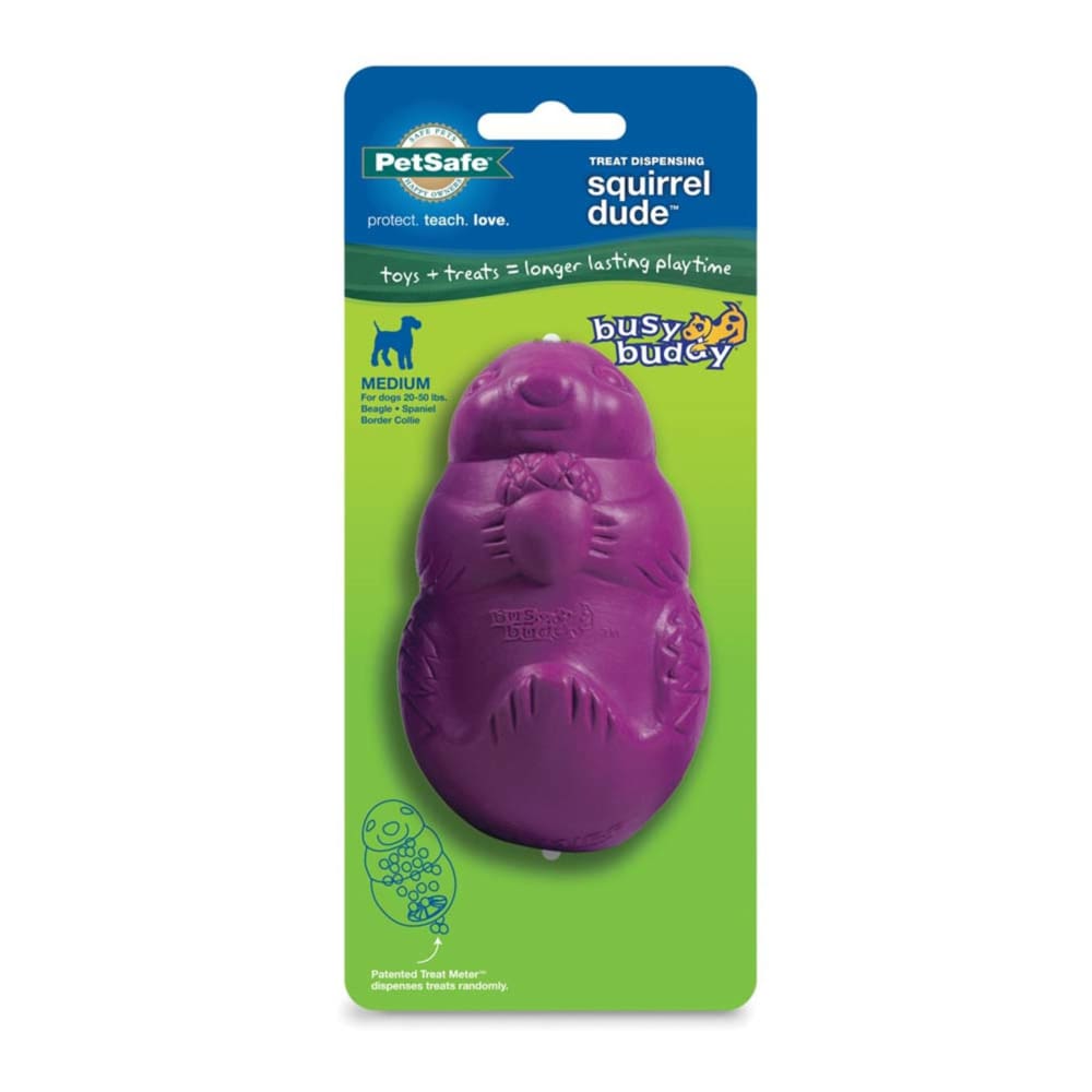 Busy Buddy Dog Toy Squirrel Dude Purple Medium - Pet Supplies - Busy Buddy